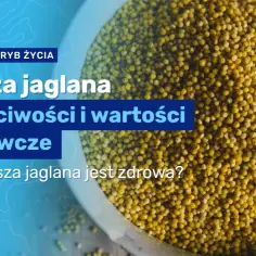 Czy kasza jaglana jest dietetyczna? Odkryj jej zdrowotne właściwości