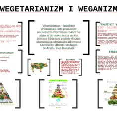 Czym się różni dieta wegańska od wegetariańskiej? Kluczowe różnice